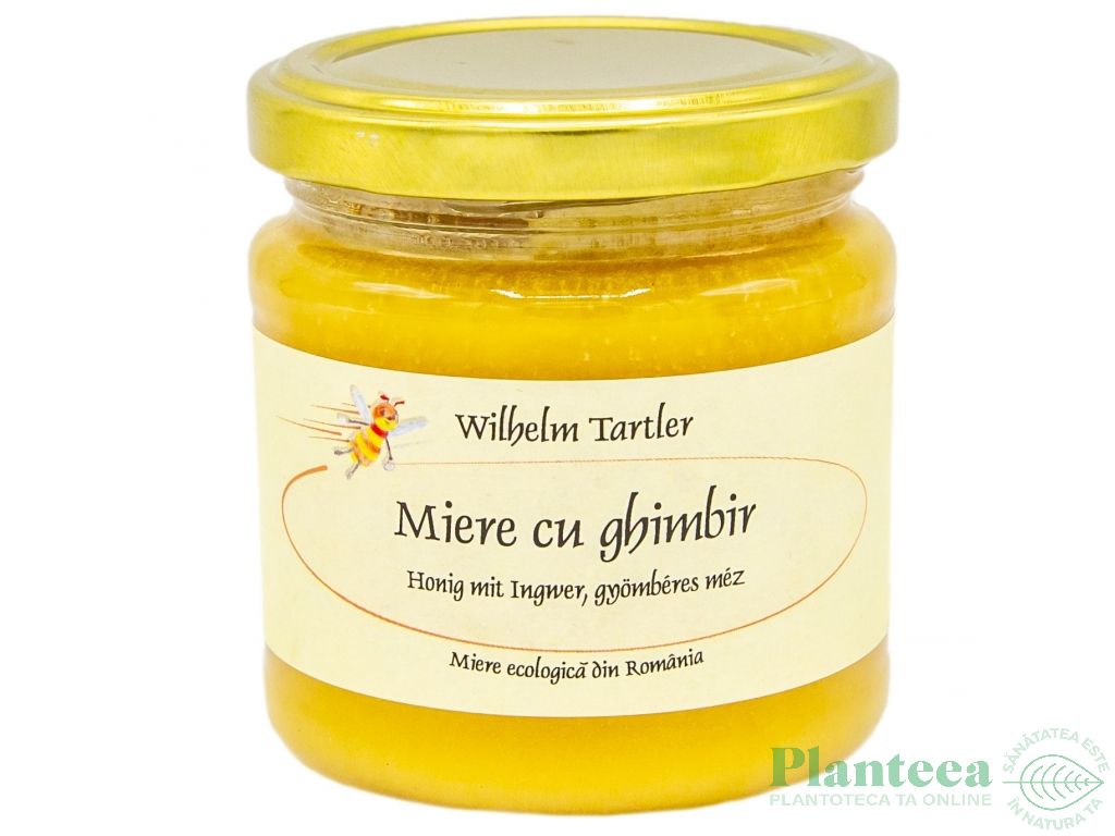 Miere cu ghimbir eco 250g - WILHELM TARTLER