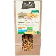 Seminte mix crocante eco 85g - PRONAT