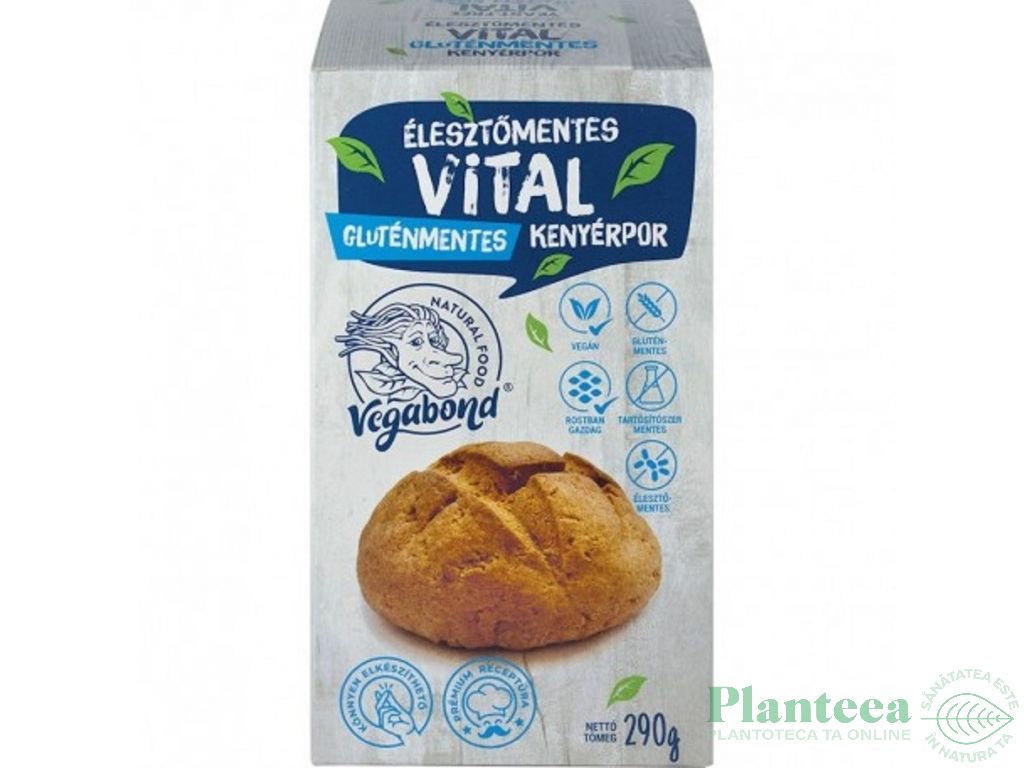 Premix paine Vital fara gluten 290g - VEGABOND