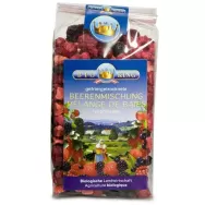 Mix fructe liofilizate eco 40g - BIOKING