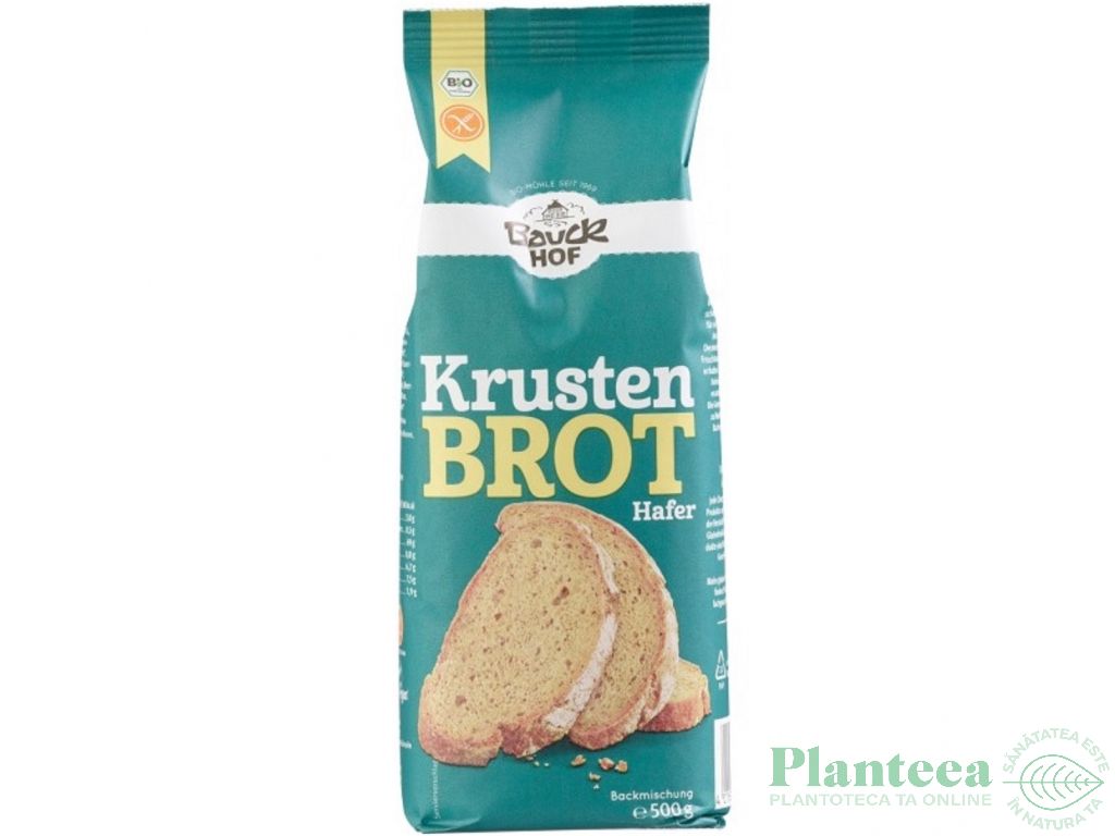 Premix paine crocanta fara gluten eco 500g - BAUCKHOF