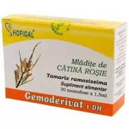 Gemoderivat catina rosie [tamarix] mladite 30x1,5ml - HOFIGAL