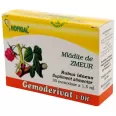 Gemoderivat zmeur mladite 30x1,5ml - HOFIGAL