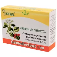 Gemoderivat paducel mladite 30x1,5ml - HOFIGAL