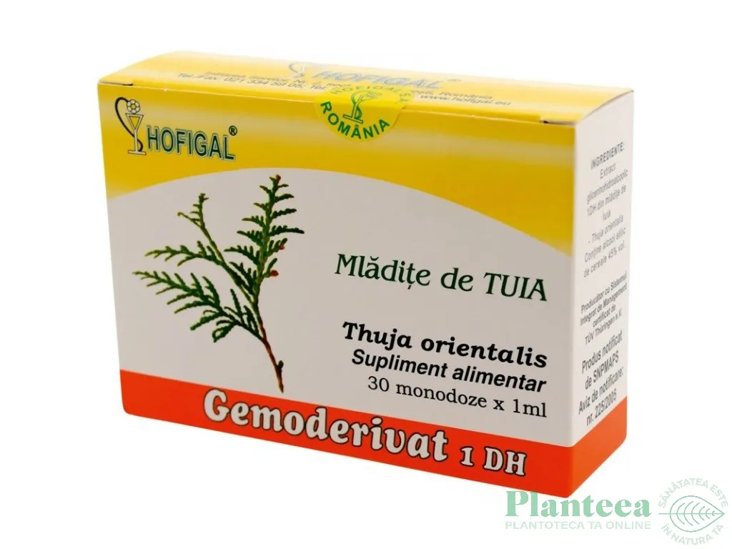 Gemoderivat tuia mladite 30x1,5ml - HOFIGAL