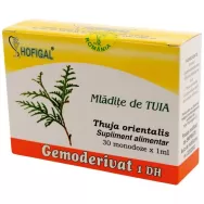 Gemoderivat tuia mladite 30x1,5ml - HOFIGAL