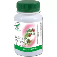 Mladite zmeur 60cps - MEDICA