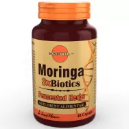 Moringa 3xbiotics 40cps - KOMBUCELL