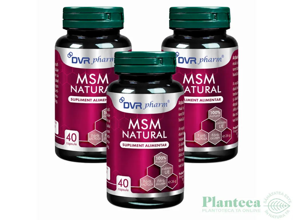 Set MSM natural 3x40cps - DVR PHARM