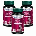 Set MSM natural 3x40cps - DVR PHARM