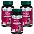 Set MSM natural 3x90cps - DVR PHARM