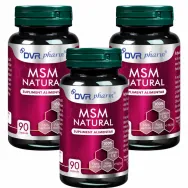 Set MSM natural 3x90cps - DVR PHARM