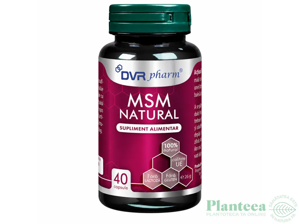 MSM natural 1x40cps - DVR PHARM