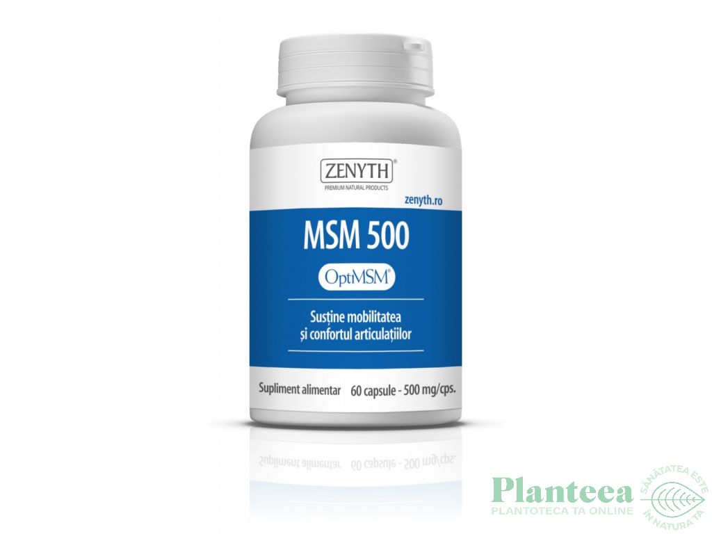 MSM 500mg 60cps - ZENYTH