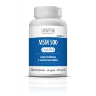 MSM 500mg 60cps - ZENYTH