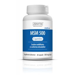 MSM 500mg 60cps - ZENYTH