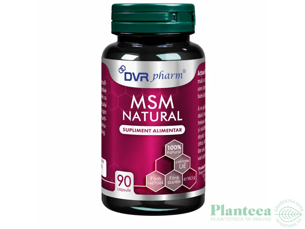 MSM natural 1x90cps - DVR PHARM