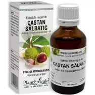 Gemoderivat castan salbatic muguri 50ml - PLANTEXTRAKT