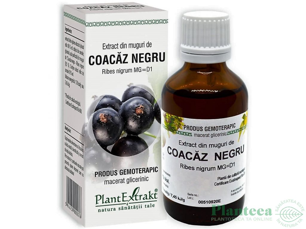Gemoderivat coacaz negru muguri 50ml - PLANTEXTRAKT