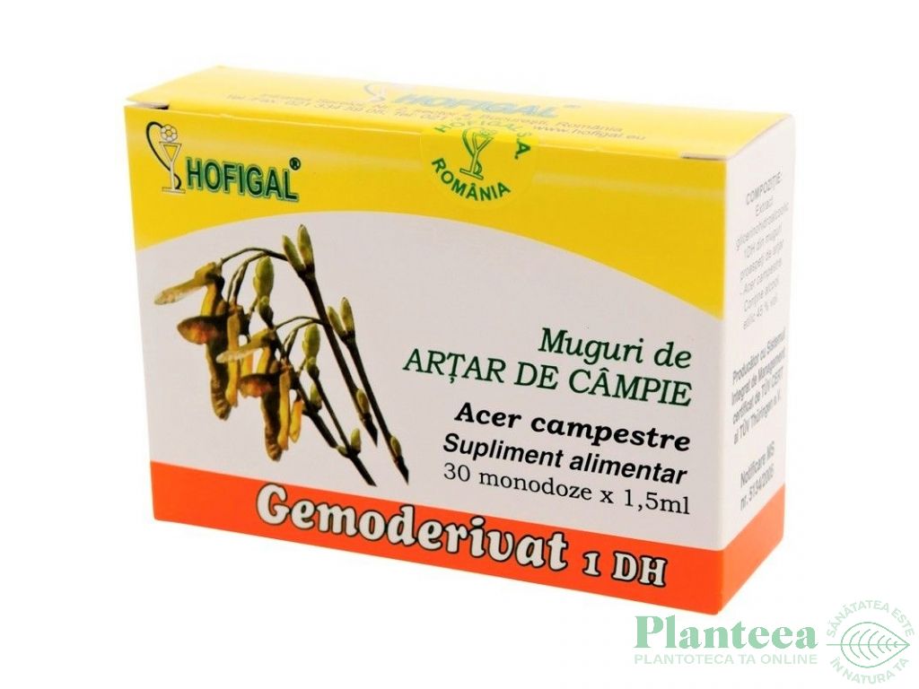 Gemoderivat artar muguri 30x1,5ml - HOFIGAL