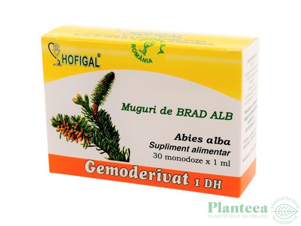 Gemoderivat brad alb muguri 30x1,5ml - HOFIGAL