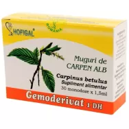 Gemoderivat carpen alb muguri 30x1,5ml - HOFIGAL