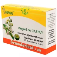 Gemoderivat castan muguri 30x1,5ml - HOFIGAL