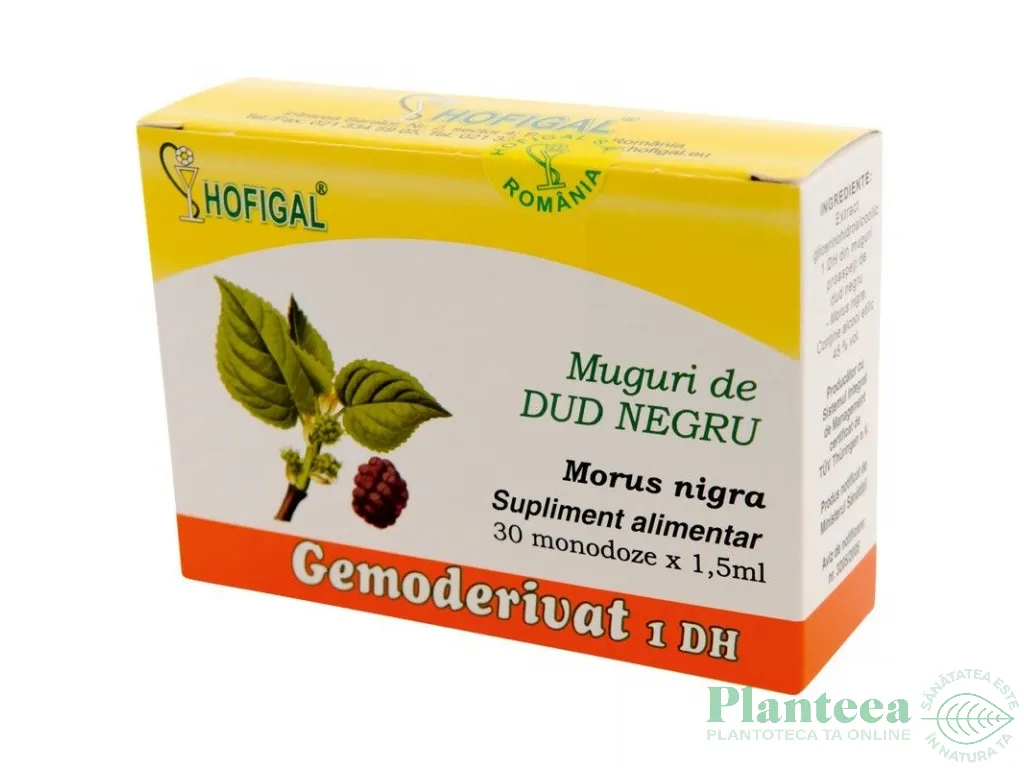 Gemoderivat dud negru muguri 30x1,5ml - HOFIGAL