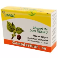 Gemoderivat dud negru muguri 30x1,5ml - HOFIGAL