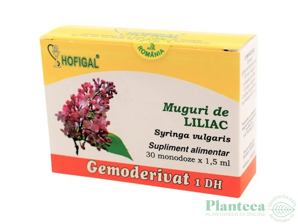 Gemoderivat liliac muguri 30x1,5ml - HOFIGAL