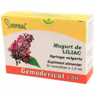 Gemoderivat liliac muguri 30x1,5ml - HOFIGAL