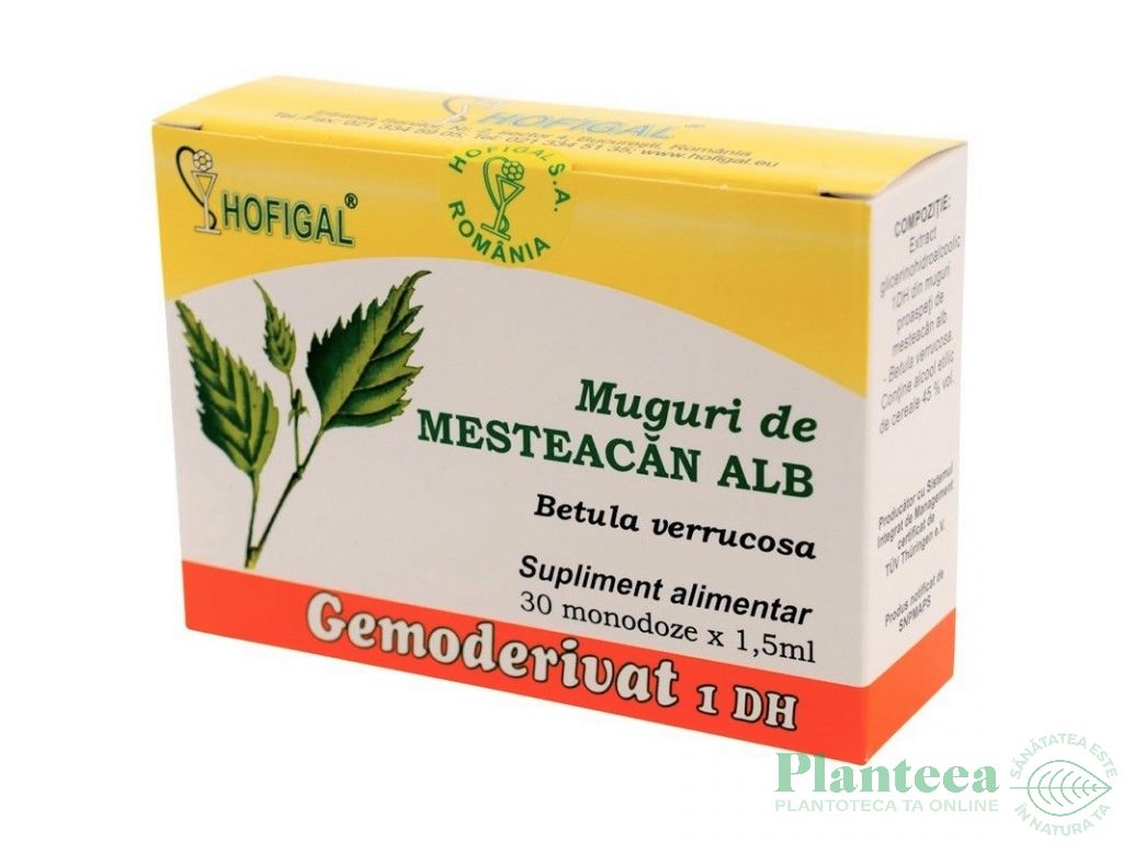 Gemoderivat mesteacan alb muguri 30x1,5ml - HOFIGAL