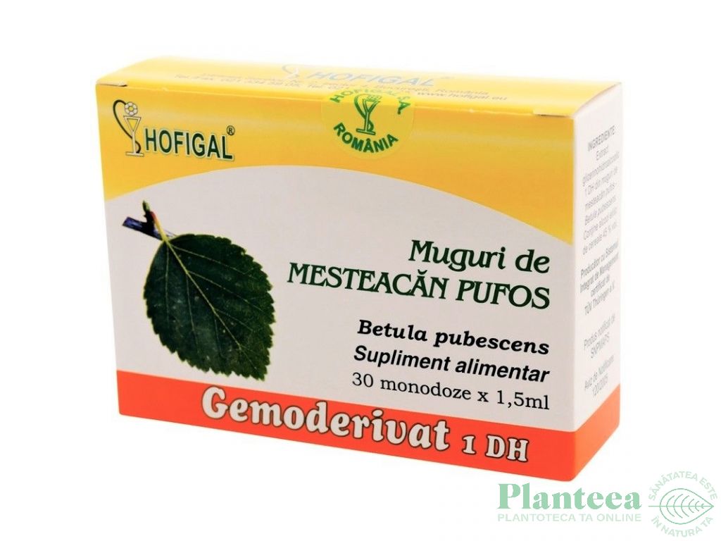 Gemoderivat mesteacan pufos muguri 30x1,5ml - HOFIGAL