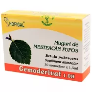 Gemoderivat mesteacan pufos muguri 30x1,5ml - HOFIGAL