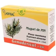 Gemoderivat pin muguri 30x1,5ml - HOFIGAL