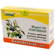 Gemoderivat porumbar muguri 30x1,5ml - HOFIGAL