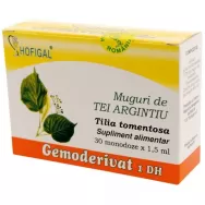 Gemoderivat tei argintiu muguri 30x1,5ml - HOFIGAL