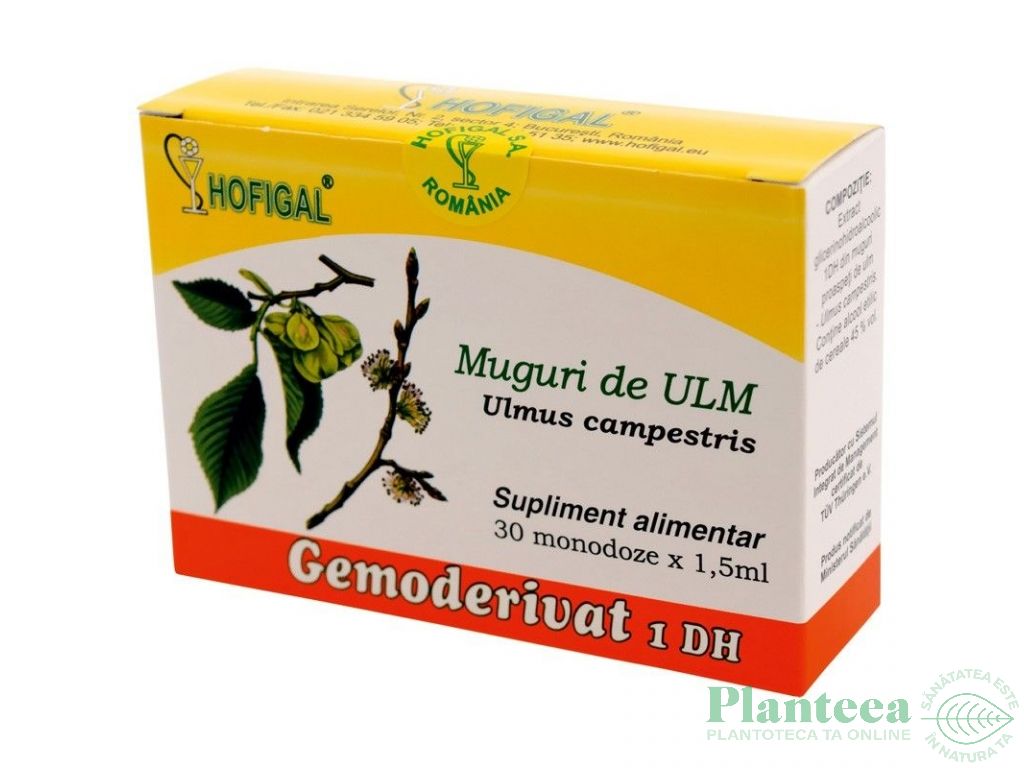 Gemoderivat ulm muguri 30x1,5ml - HOFIGAL