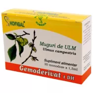 Gemoderivat ulm muguri 30x1,5ml - HOFIGAL