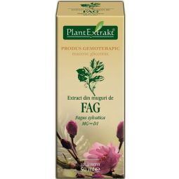 Gemoderivat fag muguri 50ml - PLANTEXTRAKT