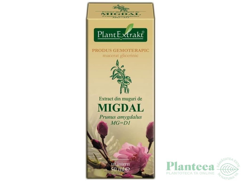 Gemoderivat migdal muguri 50ml - PLANTEXTRAKT