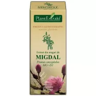 Gemoderivat migdal muguri 50ml - PLANTEXTRAKT