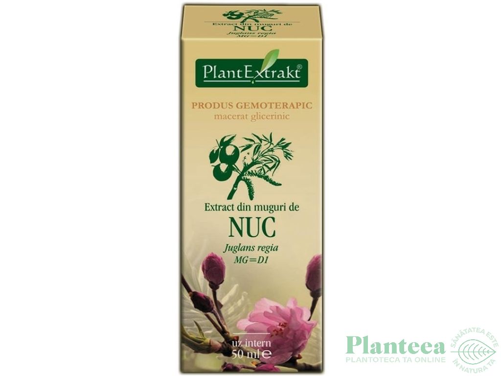 Gemoderivat nuc muguri 50ml - PLANTEXTRAKT