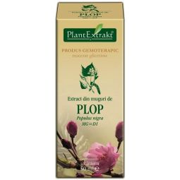 Gemoderivat plop muguri 50ml - PLANTEXTRAKT