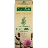 Gemoderivat porumbar muguri 50ml - PLANTEXTRAKT