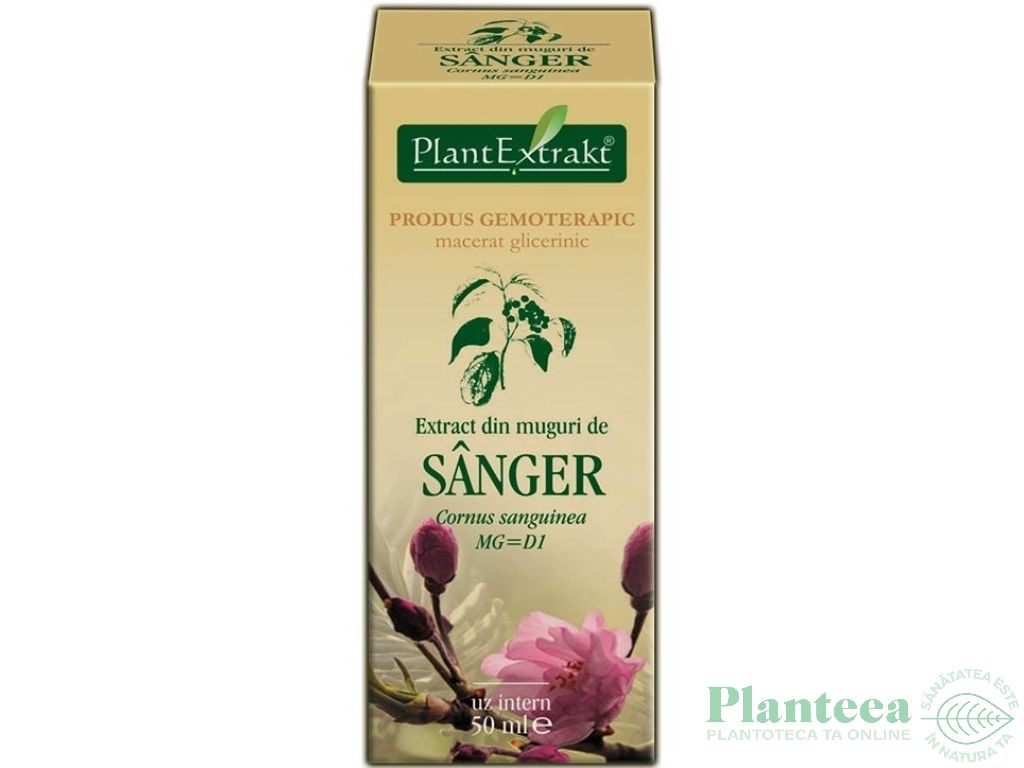 Gemoderivat sanger muguri 50ml - PLANTEXTRAKT