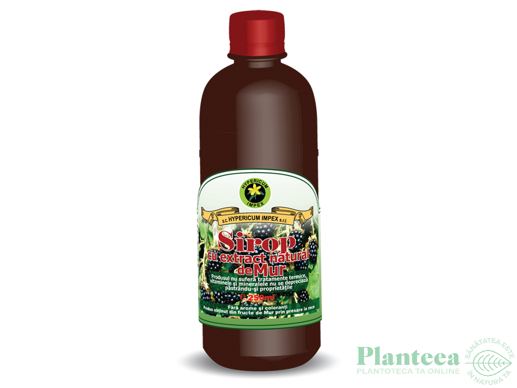 Sirop mur cu zahar invertit 500ml - HYPERICUM PLANT