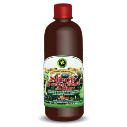 Sirop mur cu zahar invertit 500ml - HYPERICUM PLANT