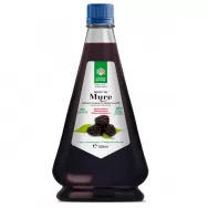 Sirop mure 520ml - SANTO RAPHAEL