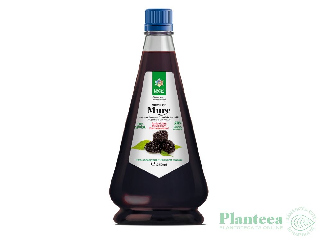 Sirop mure 250ml - SANTO RAPHAEL